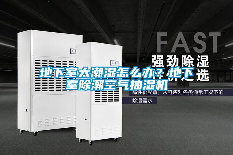 地下室太潮湿怎么办？地下室除潮空气抽湿机