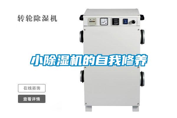 小草莓视频APP在线观看的自我修养