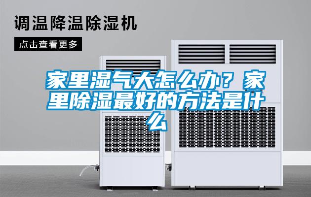 家里湿气大怎么办？家里除湿最好的方法是什么