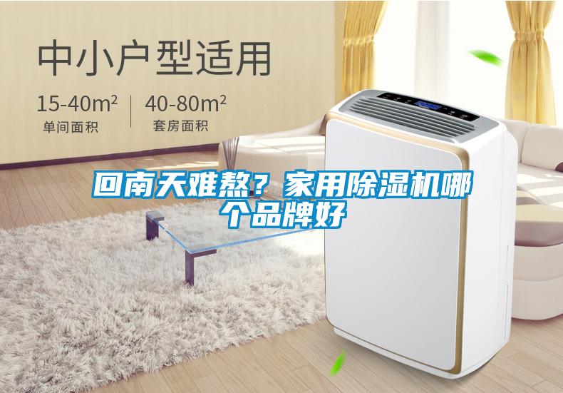 回南天难熬？家用草莓视频APP在线观看哪个品牌好