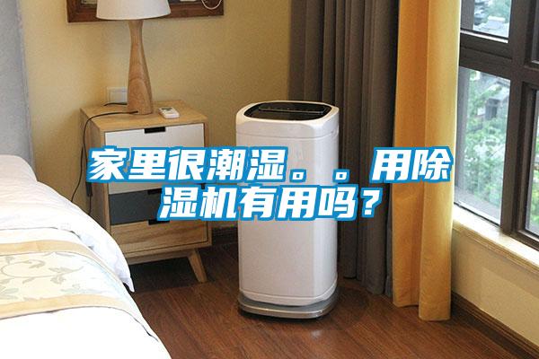 家里很潮湿。。用草莓视频APP在线观看有用吗？