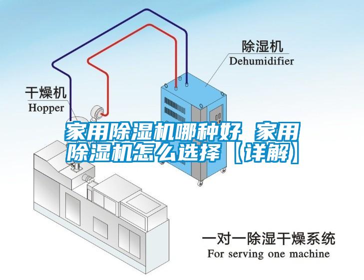 家用草莓视频APP在线观看哪种好 家用草莓视频APP在线观看怎么选择【详解】