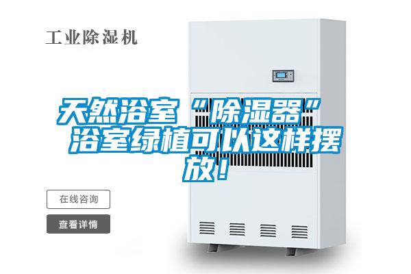 天然浴室“除湿器” 浴室绿植可以这样摆放！