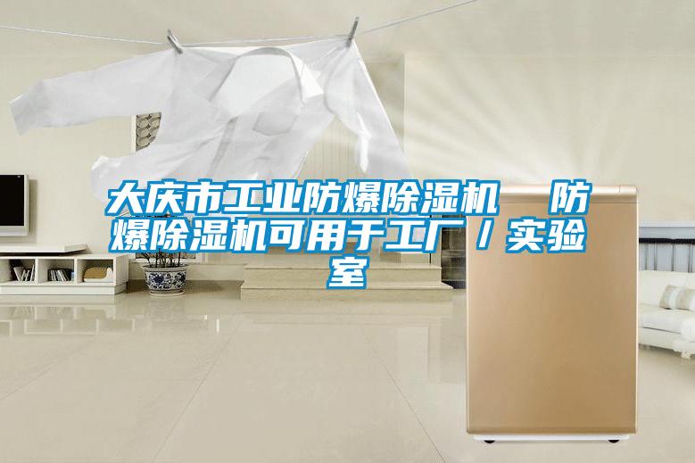 大庆市工业防爆草莓视频APP在线观看  防爆草莓视频APP在线观看可用于工厂／实验室