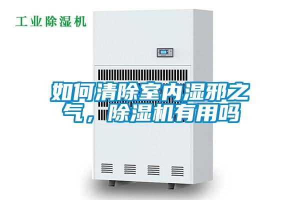 如何清除室内湿邪之气，草莓视频APP在线观看有用吗