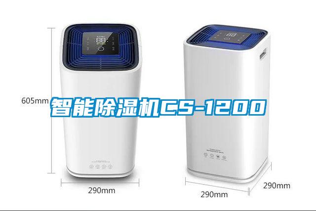 智能草莓视频APP在线观看CS-1200