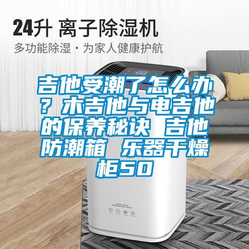 吉他受潮了怎么办？木吉他与电吉他的保养秘诀 吉他防潮箱 乐器干燥柜50