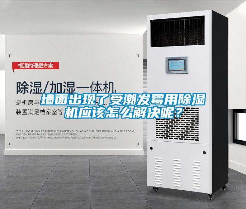 墙面出现了受潮发霉用草莓视频APP在线观看应该怎么解决呢？
