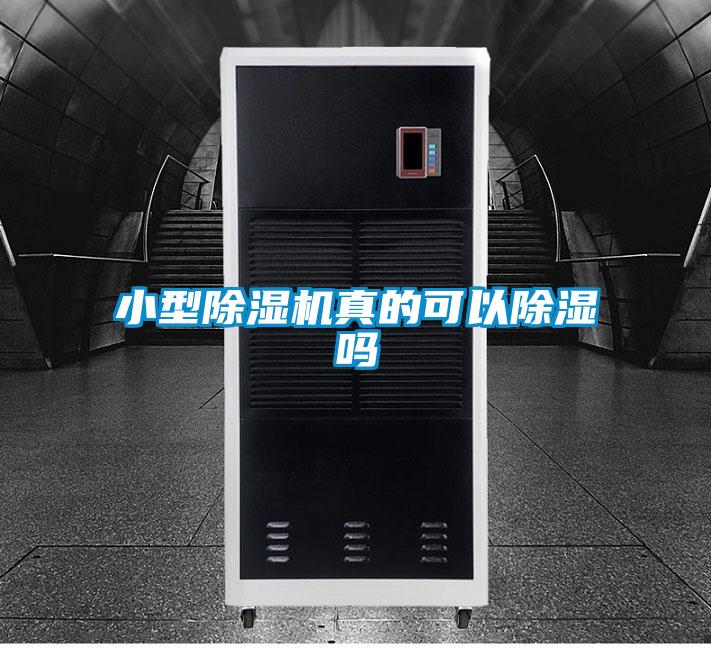 小型草莓视频APP在线观看真的可以除湿吗