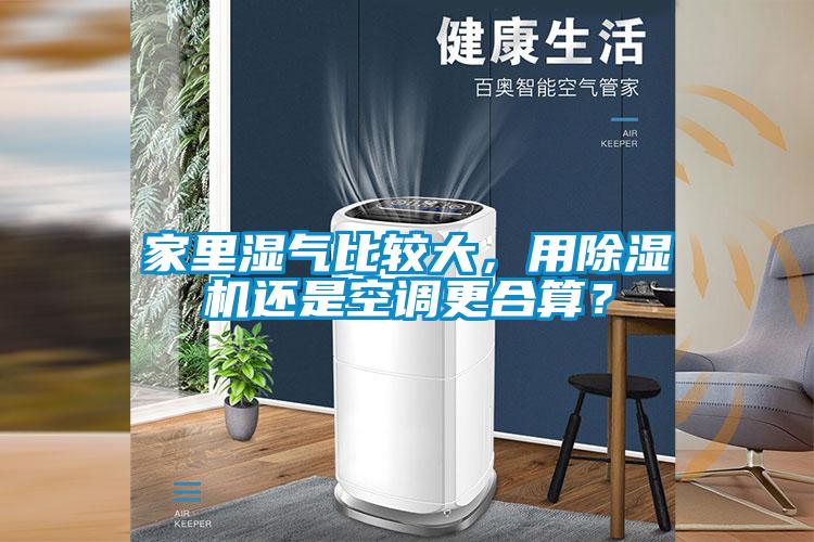 家里湿气比较大，用草莓视频APP在线观看还是空调更合算？