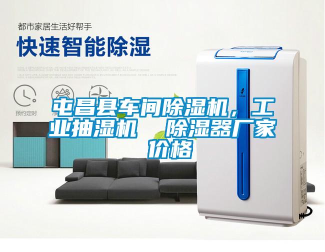 屯昌县车间草莓视频APP在线观看，工业抽湿机  除湿器厂家 价格