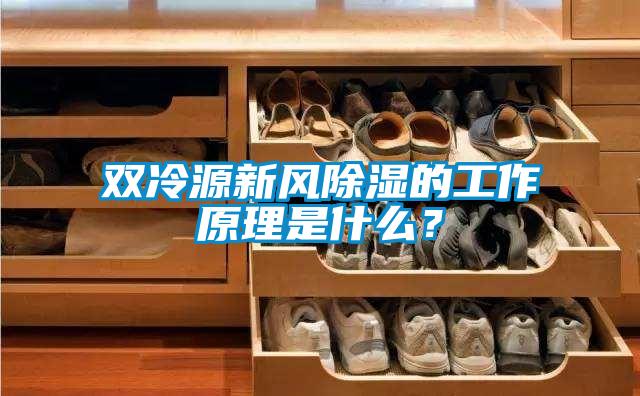 双冷源新风除湿的工作原理是什么？