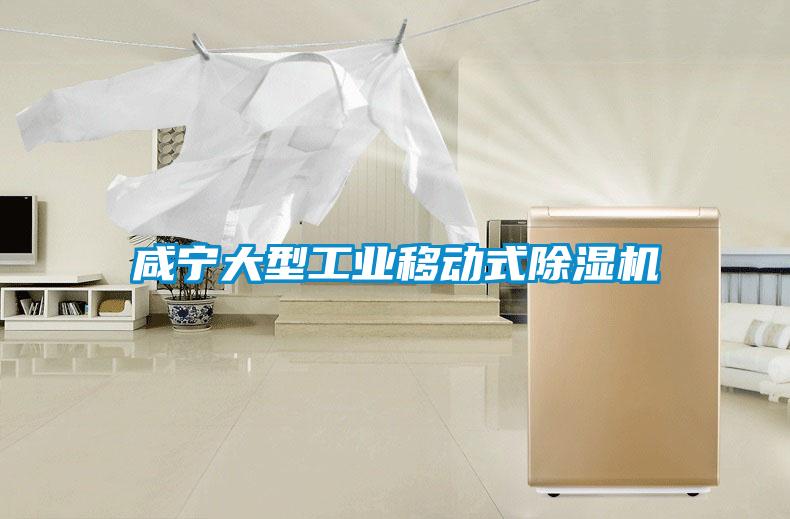 咸宁大型工业移动式草莓视频APP在线观看