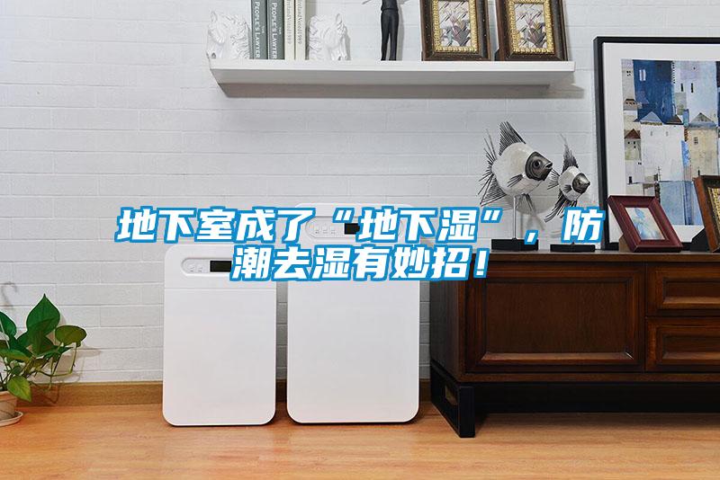 地下室成了“地下湿”，防潮去湿有妙招！