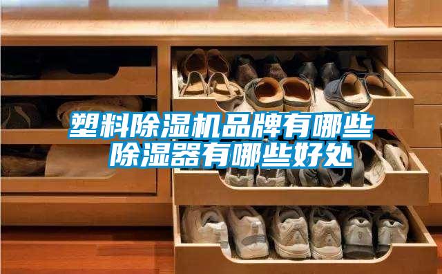 塑料草莓视频APP在线观看品牌有哪些 除湿器有哪些好处