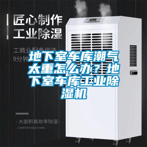 地下室车库潮气太重怎么办？地下室车库工业草莓视频APP在线观看