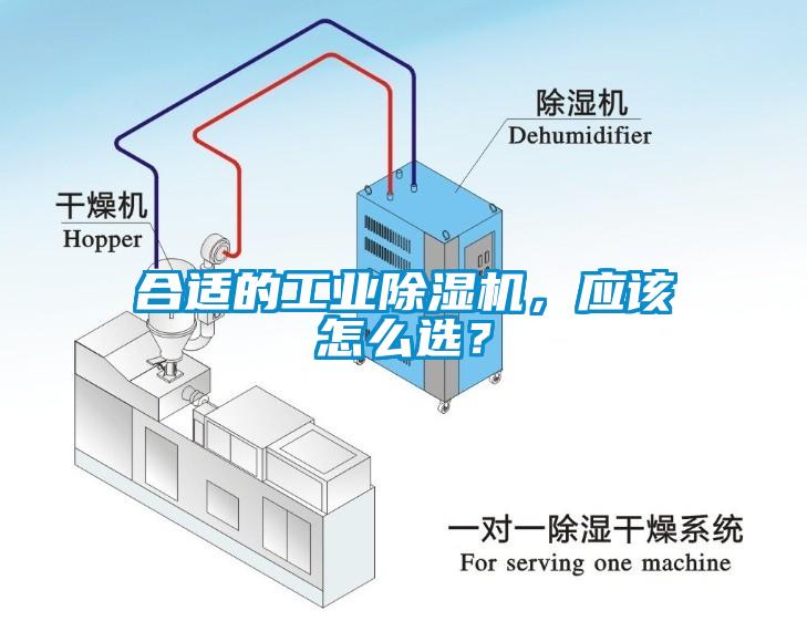 合适的工业草莓视频APP在线观看，应该怎么选？