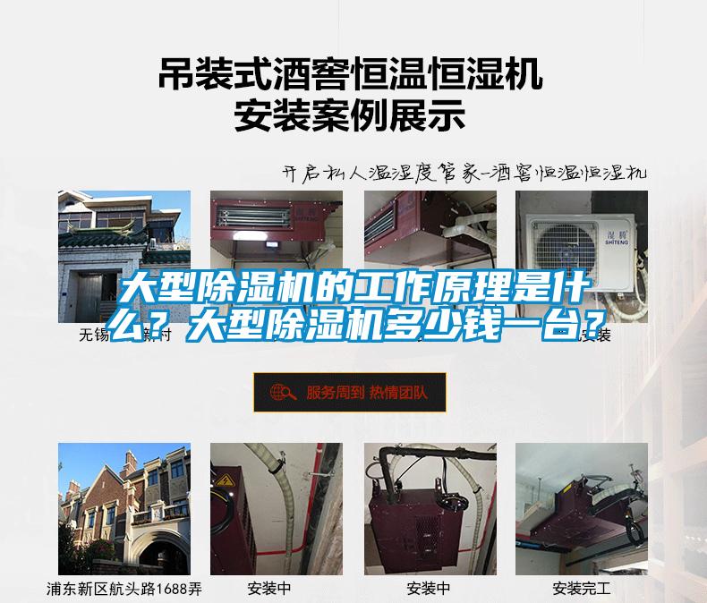 大型草莓视频APP在线观看的工作原理是什么？大型草莓视频APP在线观看多少钱一台？