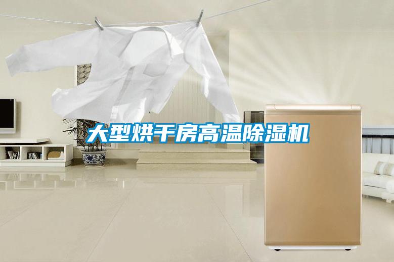 大型烘干房高温草莓视频APP在线观看