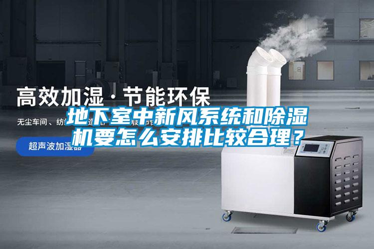 地下室中新风系统和草莓视频APP在线观看要怎么安排比较合理？