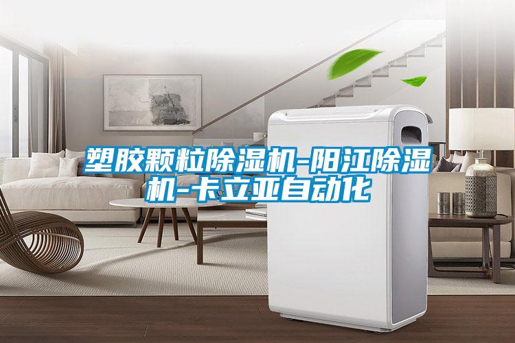 塑胶颗粒草莓视频APP在线观看-阳江草莓视频APP在线观看-卡立亚自动化