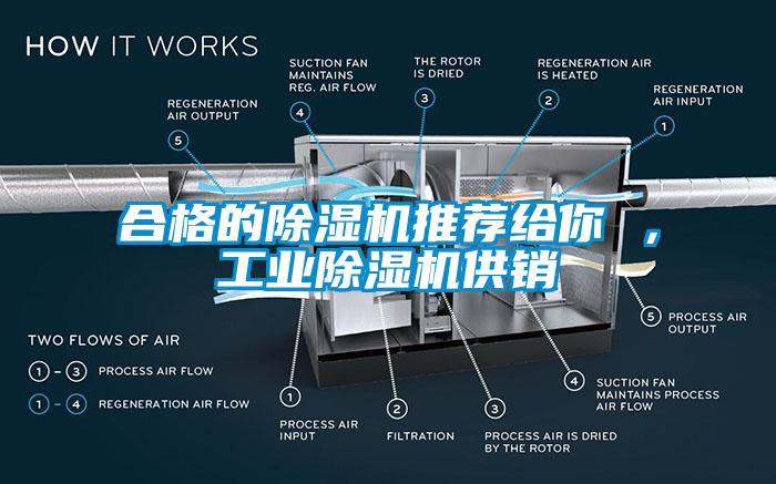 合格的草莓视频APP在线观看推荐给你 ，工业草莓视频APP在线观看供销