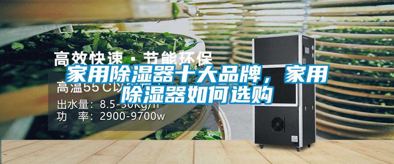 家用除湿器十大品牌，家用除湿器如何选购
