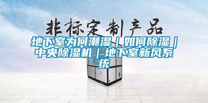 地下室为何潮湿｜如何除湿｜中央草莓视频APP在线观看｜地下室新风系统