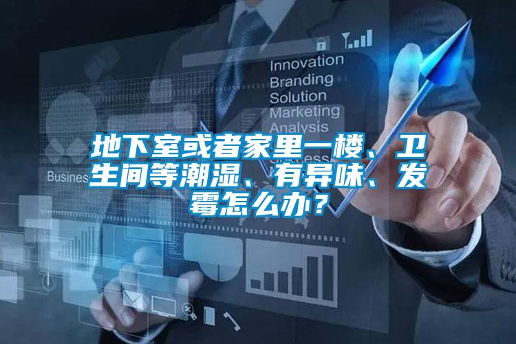 地下室或者家里一楼、卫生间等潮湿、有异味、发霉怎么办？