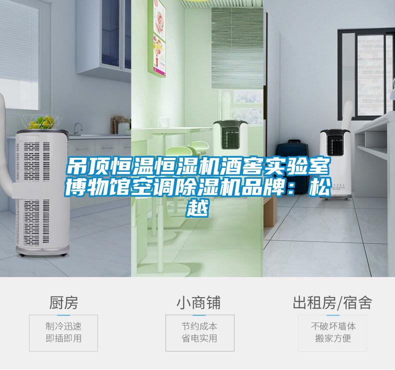 吊顶恒温恒湿机酒窖实验室博物馆空调草莓视频APP在线观看品牌：松越