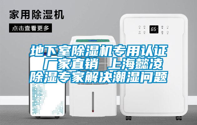 地下室草莓视频APP在线观看专用认证 厂家直销 上海懿凌除湿专家解决潮湿问题
