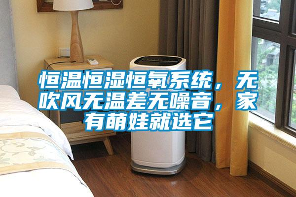 恒温恒湿恒氧系统，无吹风无温差无噪音，家有萌娃就选它