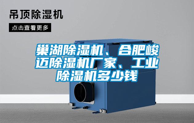 巢湖草莓视频APP在线观看、合肥峻迈草莓视频APP在线观看厂家、工业草莓视频APP在线观看多少钱