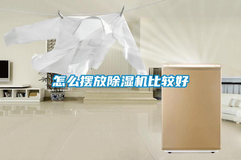 怎么摆放草莓视频APP在线观看比较好