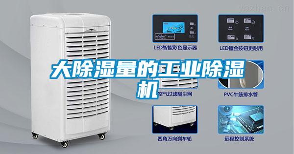 大除湿量的工业草莓视频APP在线观看