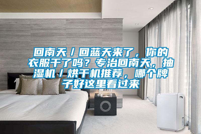 回南天／回蓝天来了，你的衣服干了吗？专治回南天，抽湿机／烘干机推荐，哪个牌子好这里看过来