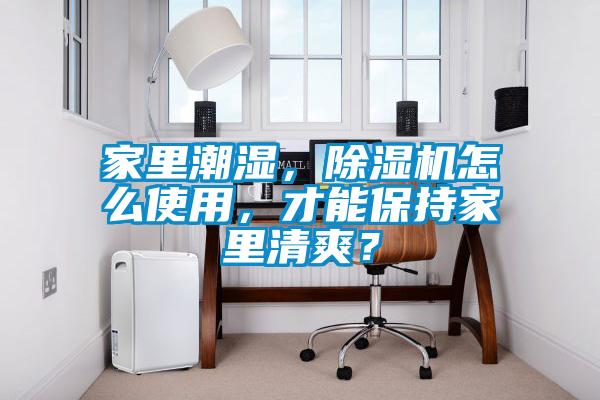 家里潮湿，草莓视频APP在线观看怎么使用，才能保持家里清爽？
