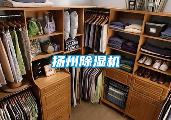 扬州草莓视频APP在线观看
