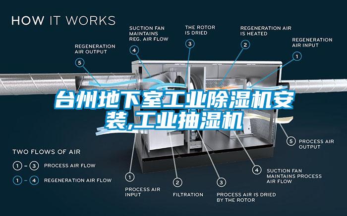 台州地下室工业草莓视频APP在线观看安装,工业抽湿机