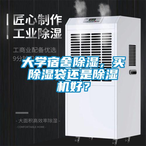 大学宿舍除湿，买除湿袋还是草莓视频APP在线观看好？