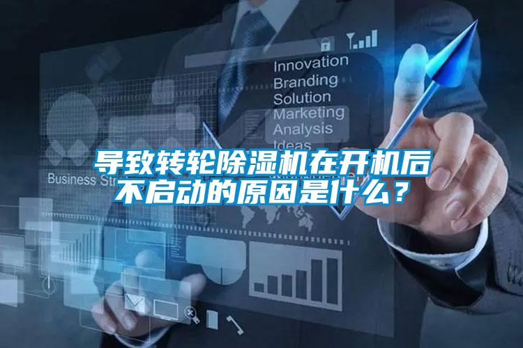 导致转轮草莓视频APP在线观看在开机后不启动的原因是什么？