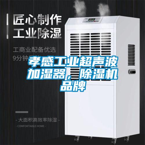 孝感工业超声波加湿器，草莓视频APP在线观看品牌