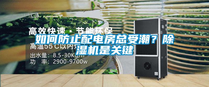 如何防止配电房总受潮？草莓视频APP在线观看是关键