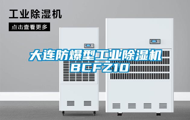 大连防爆型工业草莓视频APP在线观看 BCFZ10