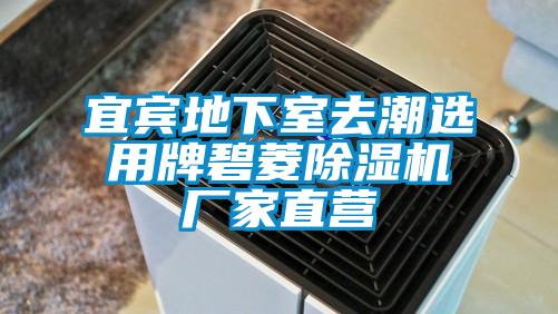 宜宾地下室去潮选用牌碧菱草莓视频APP在线观看厂家直营
