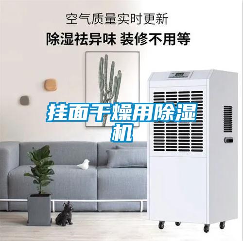 挂面干燥用草莓视频APP在线观看