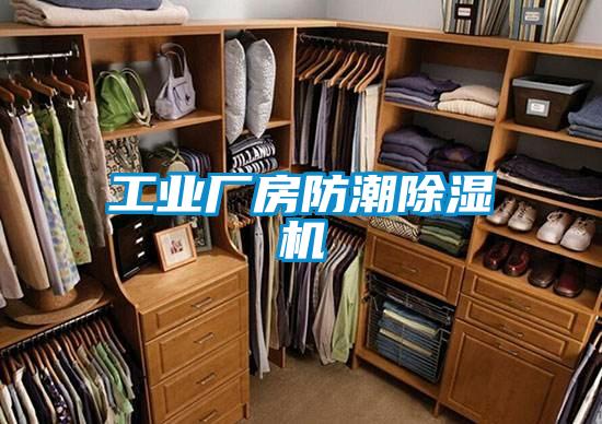 工业厂房防潮草莓视频APP在线观看