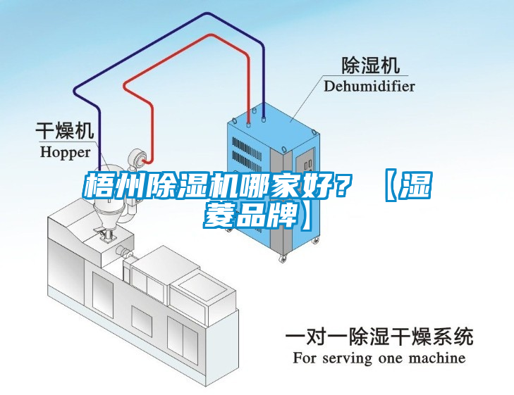 梧州草莓视频APP在线观看哪家好？【湿菱品牌】