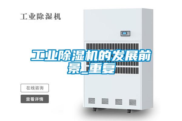 工业草莓视频APP在线观看的发展前景_重复