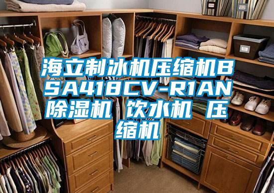 海立制冰机压缩机BSA418CV-R1AN草莓视频APP在线观看 饮水机 压缩机
